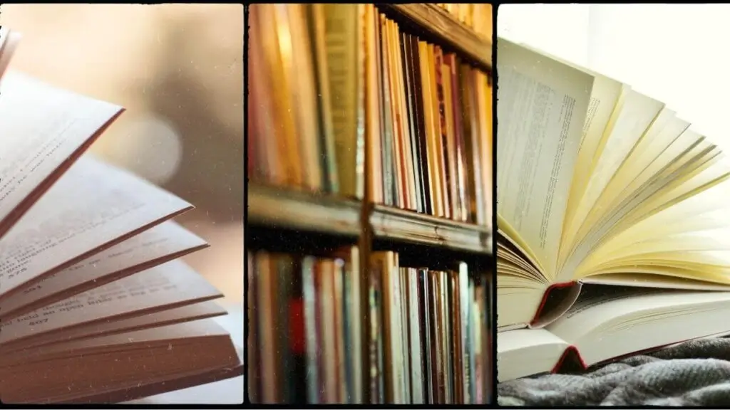 অনুবাদ সাহিত্য