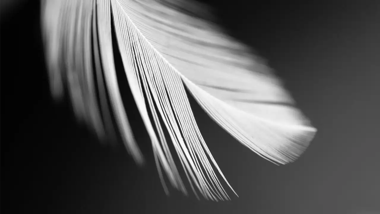 এমুঠি  নিচেই চুটি গল্প