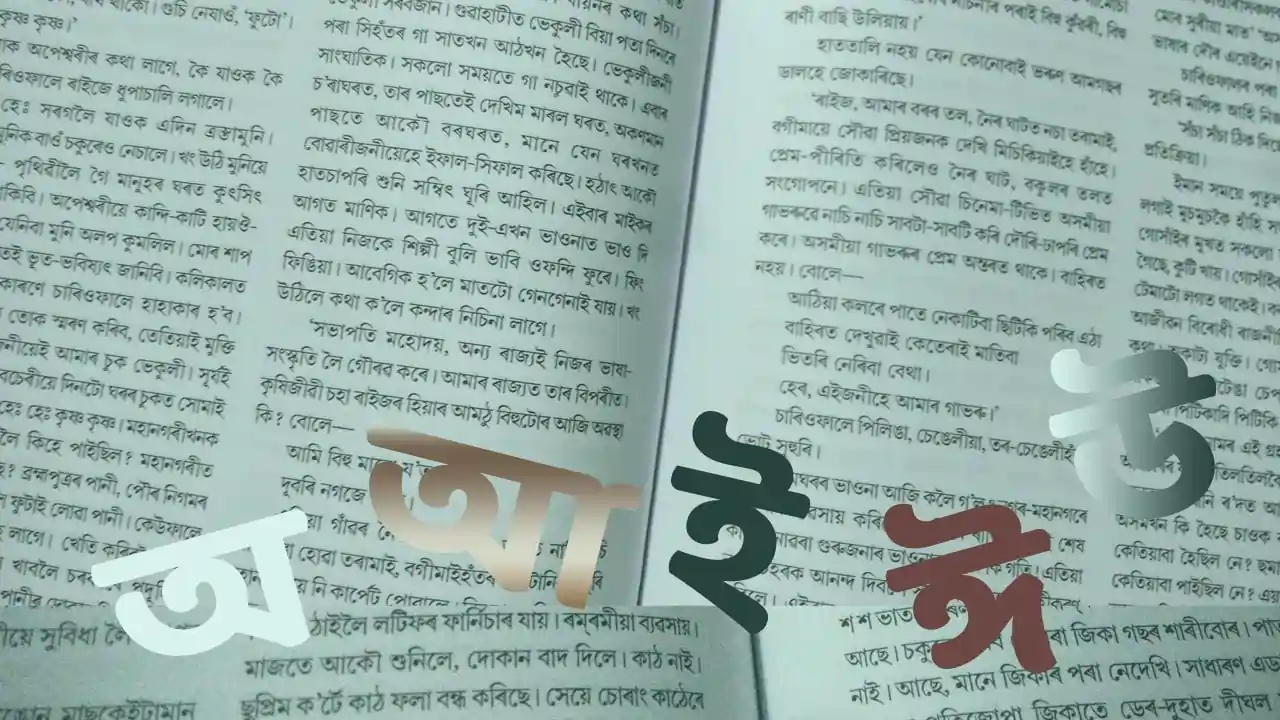অসমীয়া ভাষা প্ৰসংগ: ভাষা অবিহনে অন্তৰ্দৃষ্টি অসাৰ