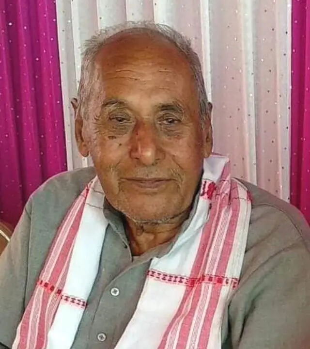 ভোলা কটকী