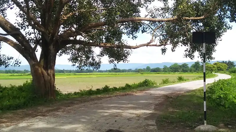 দেউতাৰ শাওণ, মোৰ শাওণ