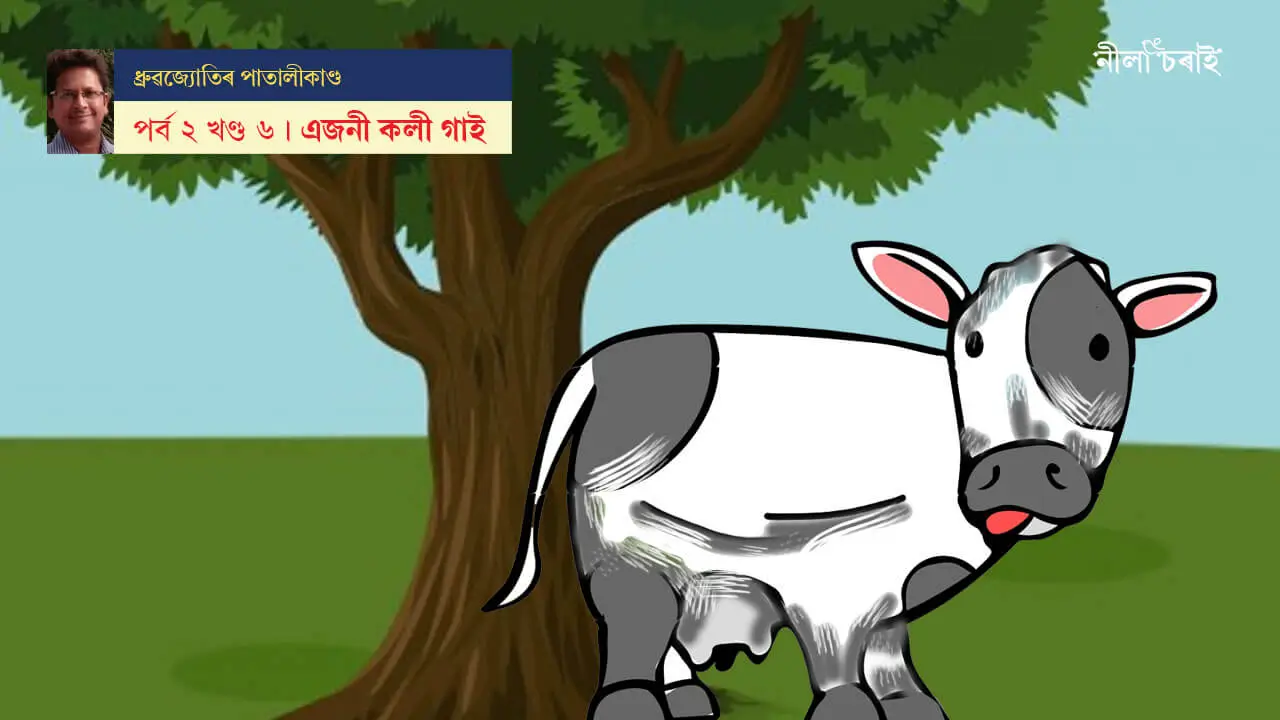 ধ্ৰুৱজ্যোতিৰ পাতালীকাণ্ড: এজনী কলী গাই