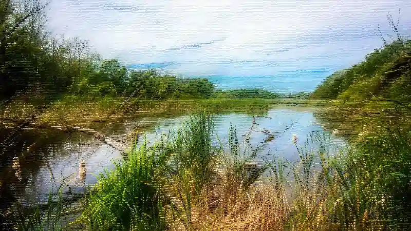 এখন নদীৰ মৃত্যু