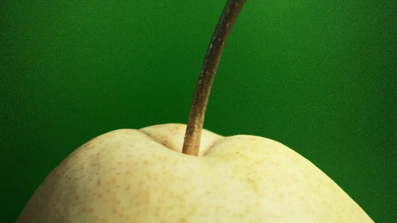 এটি নাচপতিৰ সোৱাদ লোৱা সময়ত