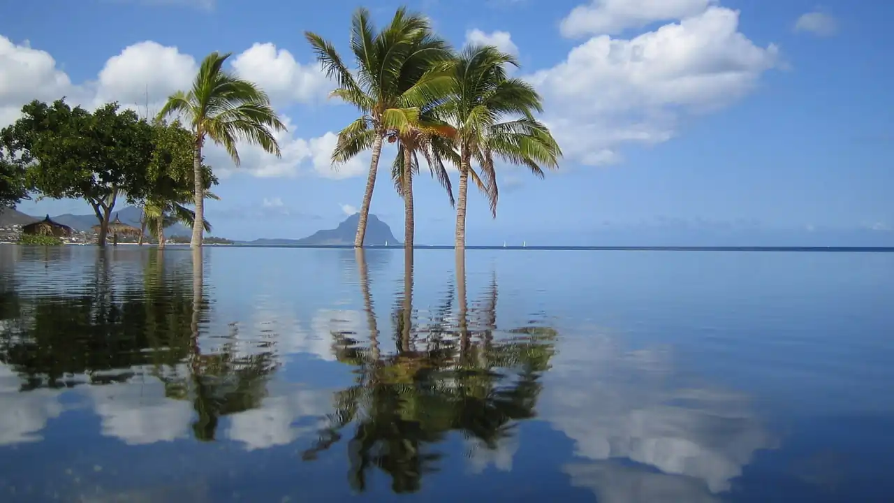 মৰিচাছ: সাগৰৰ বুকুত ক্ষুদ্ৰ ভাৰত