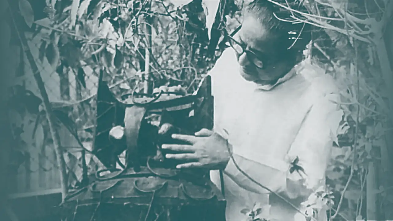 নৱকান্ত বৰুৱাৰ কবিতা: ওৱাজ ককাইৰ মছজিদ