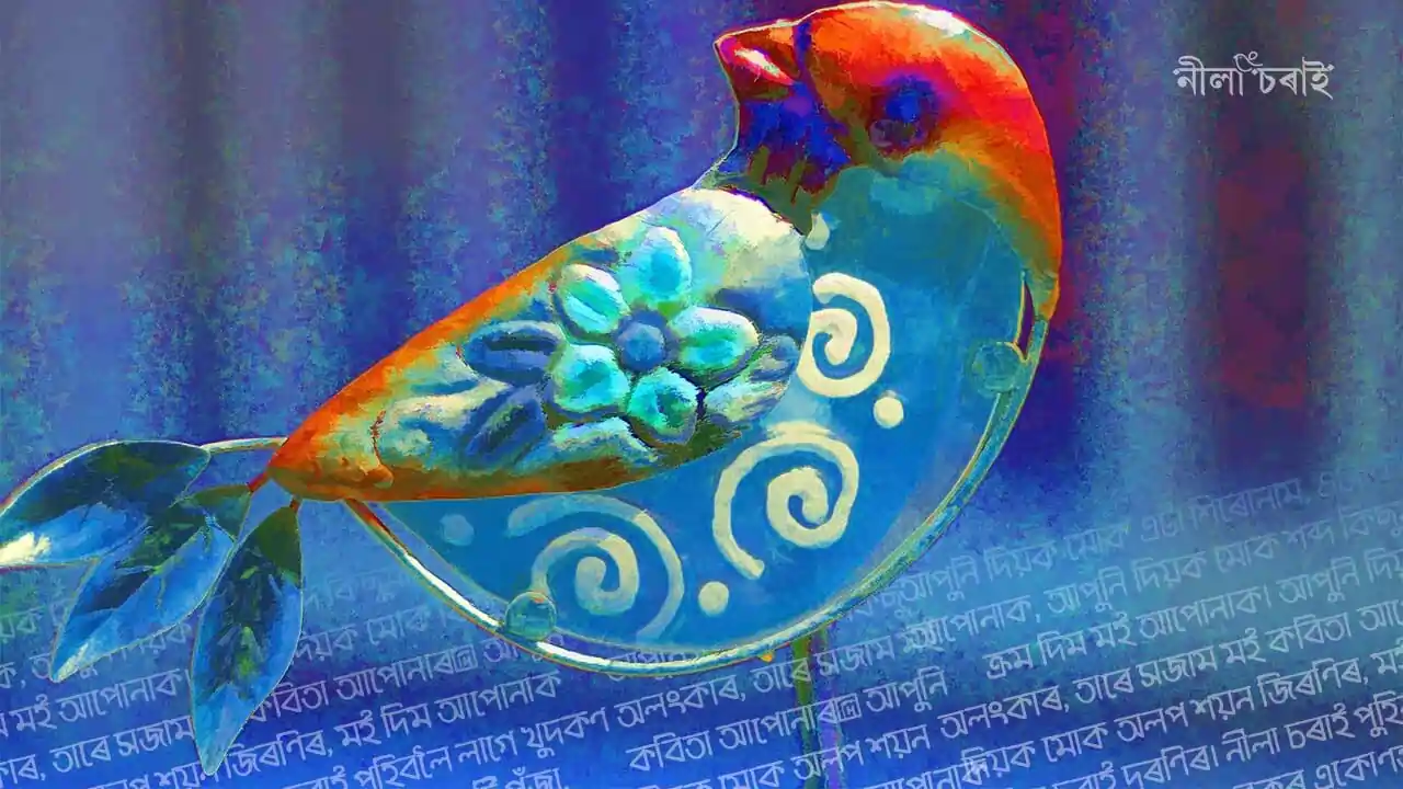 নীলা চৰাই