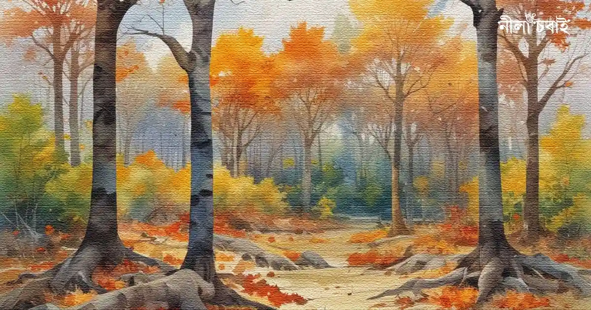 ফাগুনে কালৈকো ভ্ৰূক্ষেপ নকৰে