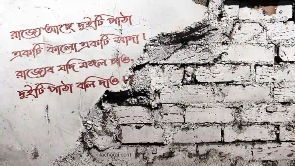 বিষ্ণু ৰাভা