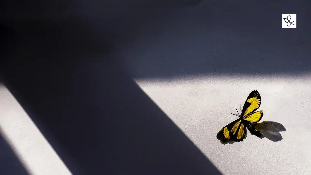 সাহিত্য-সংস্কৃতি চৰ্চা: আমাৰ মানসিকতা কিয় সলনি হোৱা উচিত