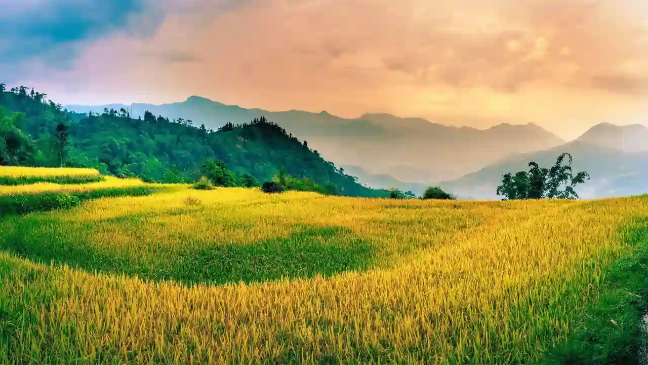 ইয়াতেই শৈশৱ আছিল