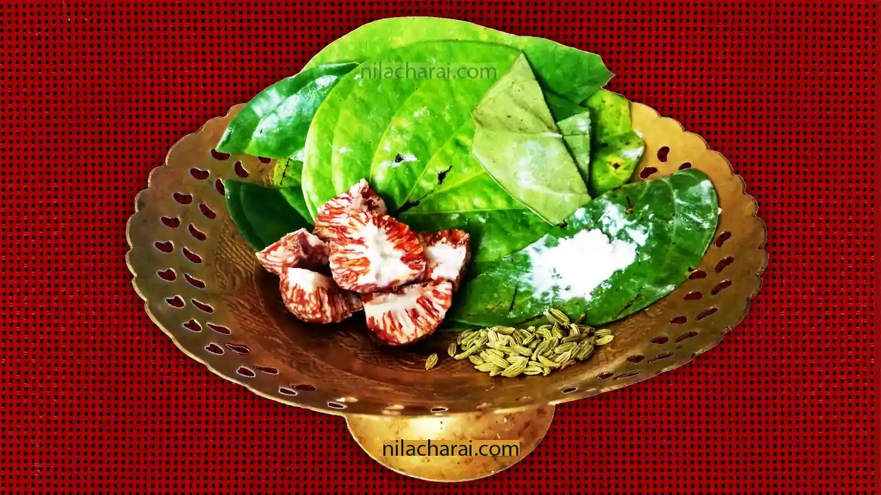 অসমীয়া সমাজ-জীৱনত তামোল-পাণৰ গুৰুত্ব