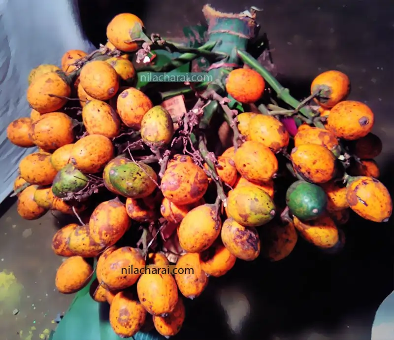 বিবাহ অনুষ্ঠানত সম্পূৰ্ণ তামোলৰ থোক