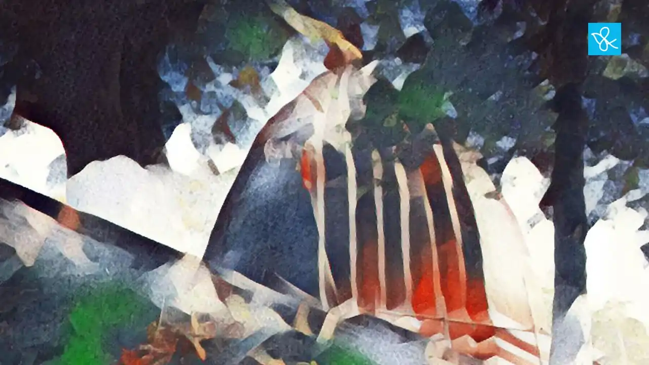 তৰগ ৰস ৰস ইন্দু