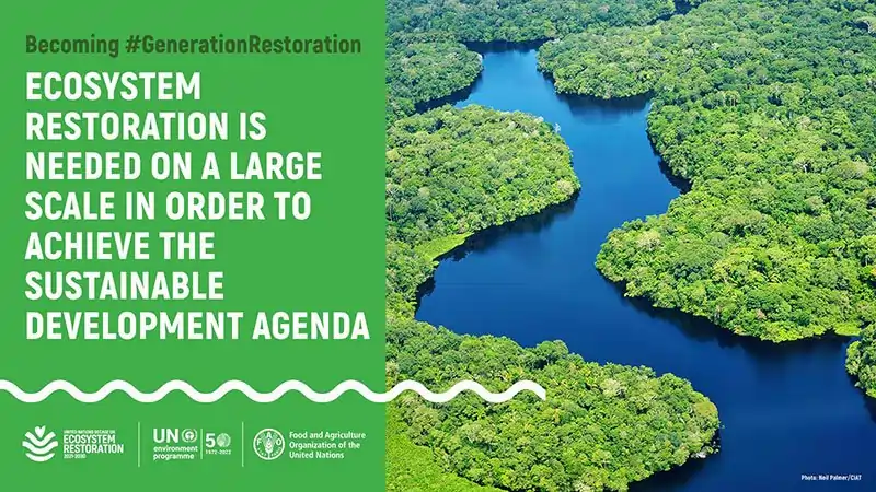 বিশ্ব পৰিৱেশ দিৱস ২০২১: ‘পৰিৱেশতন্ত্ৰৰ পুনৰুদ্ধাৰ’ দশক